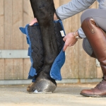 Equilibrium Stable Chaps / Stable Boots - Pair
